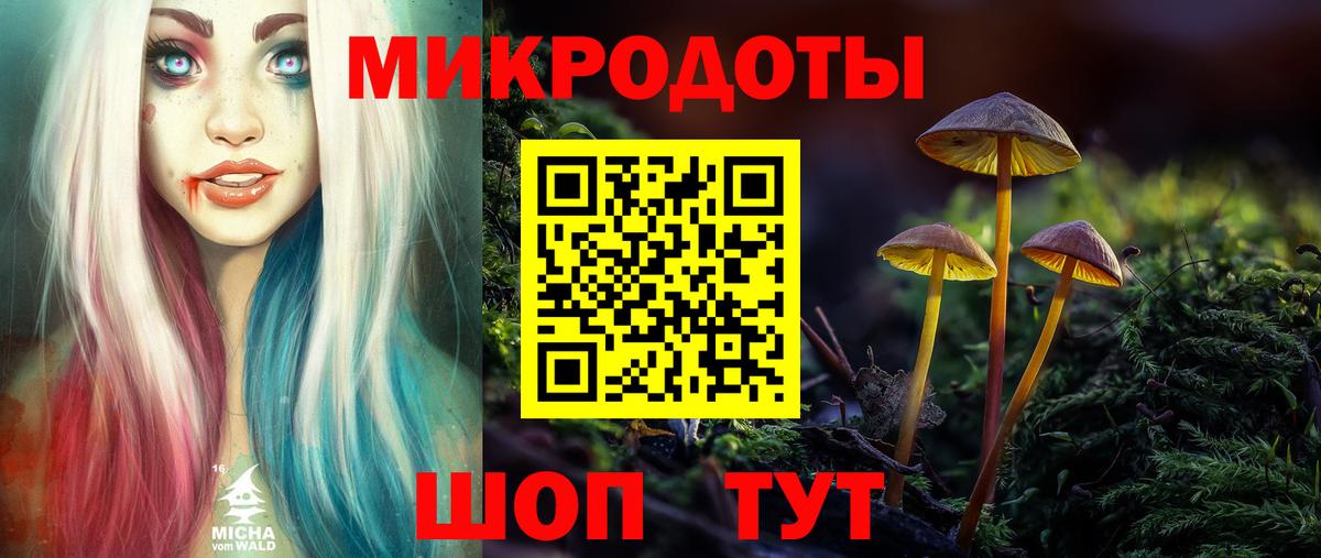 что такое   Вход с VPN  Артёмовский  Псилоцибиновые грибы GOLDEN TEACHER 